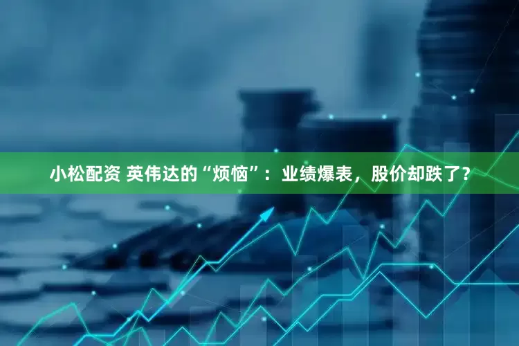 小松配资 英伟达的“烦恼”：业绩爆表，股价却跌了？