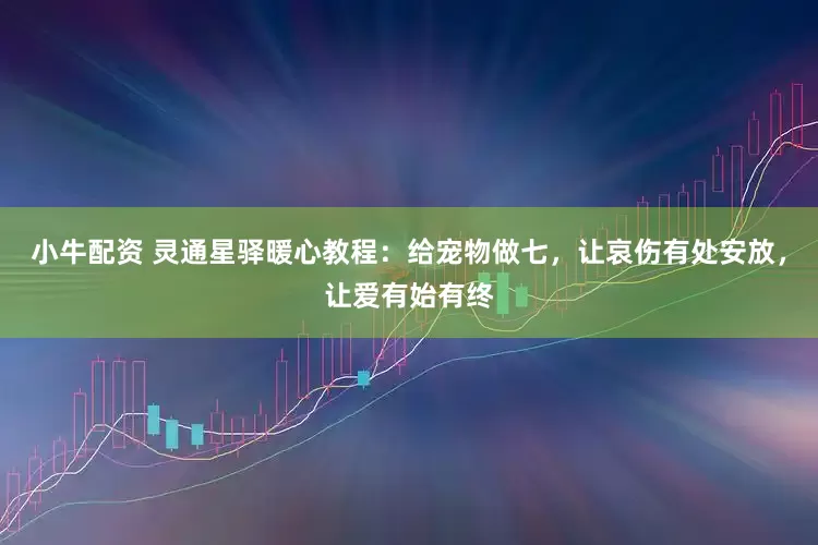 小牛配资 灵通星驿暖心教程：给宠物做七，让哀伤有处安放，让爱有始有终