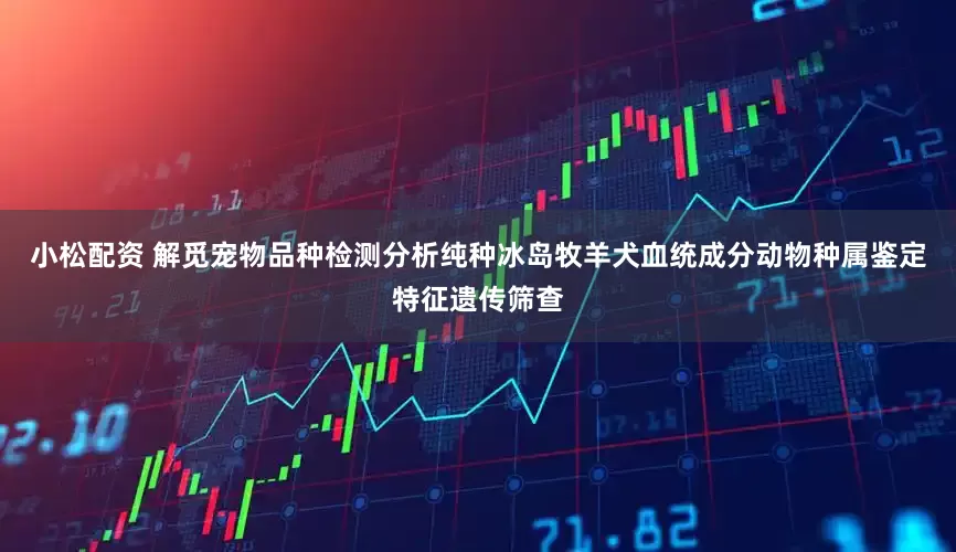 小松配资 解觅宠物品种检测分析纯种冰岛牧羊犬血统成分动物种属鉴定特征遗传筛查