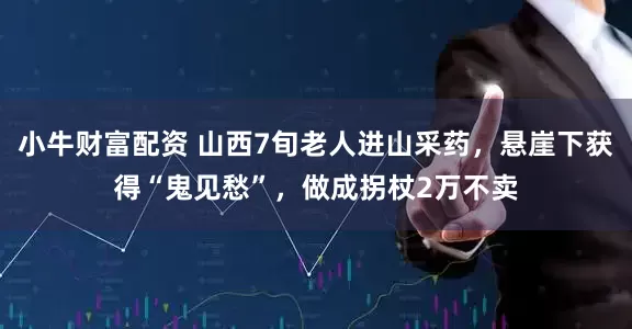 小牛财富配资 山西7旬老人进山采药，悬崖下获得“鬼见愁”，做成拐杖2万不卖