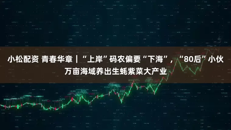 小松配资 青春华章｜“上岸”码农偏要“下海”，“80后”小伙万亩海域养出生蚝紫菜大产业